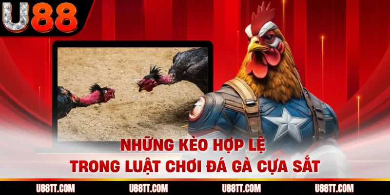 Những kèo hợp lệ trong luật chơi đá gà cựa sắt